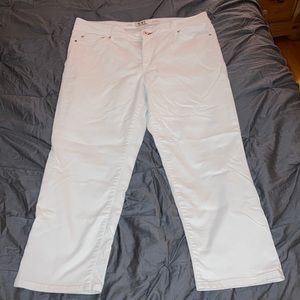 EV1 pants